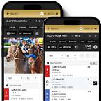 insurance bet horse racing